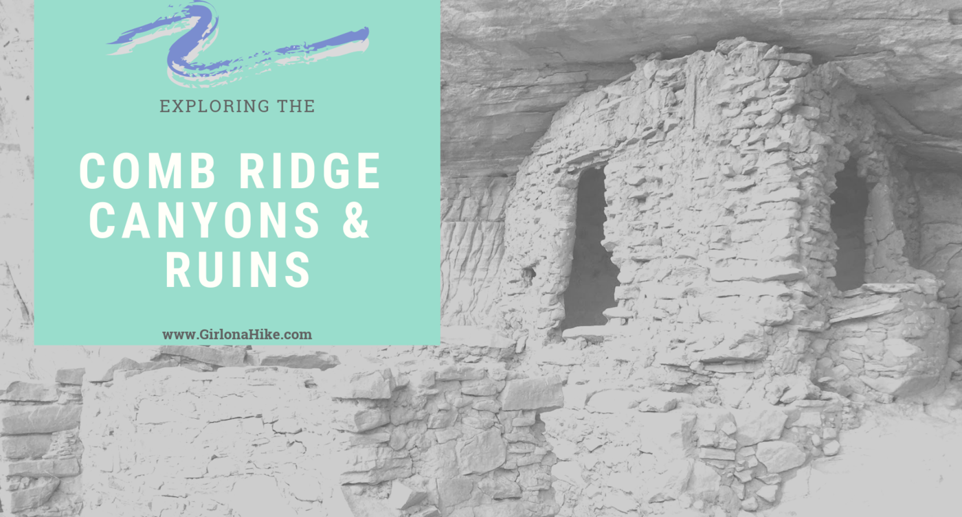 Exploring the Comb Ridge Canyons & Ruins, Cedar Mesa