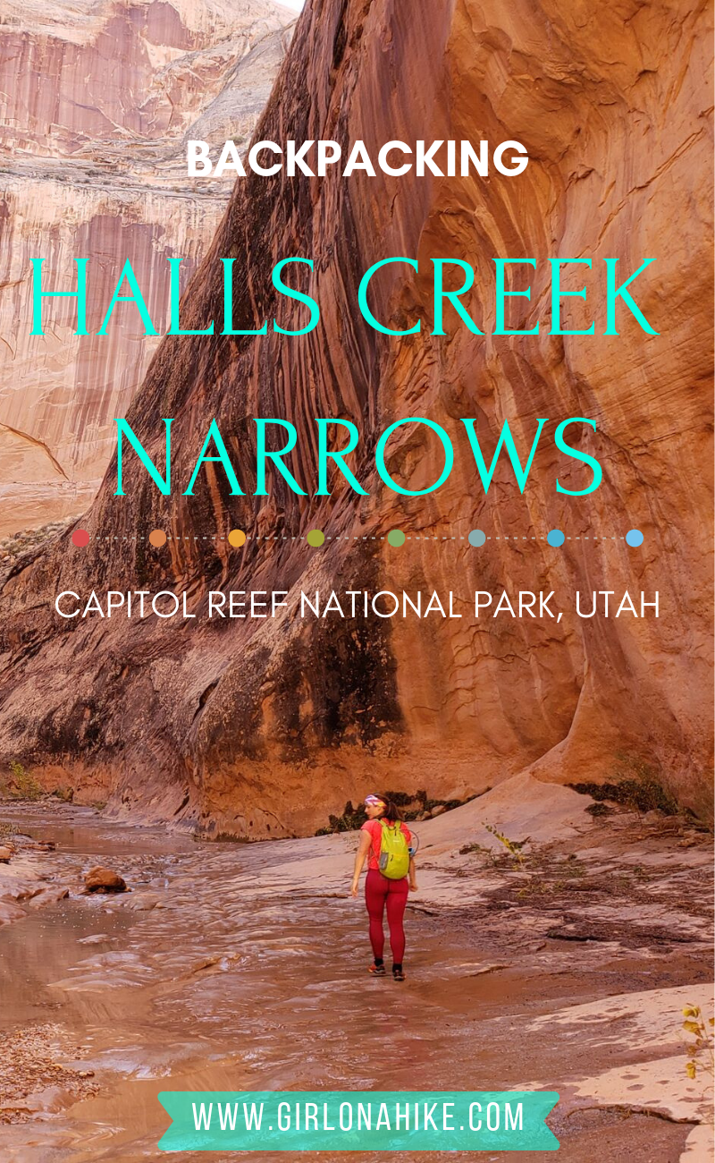 Backpacking Halls Creek Narrows, Capitol Reef National Park