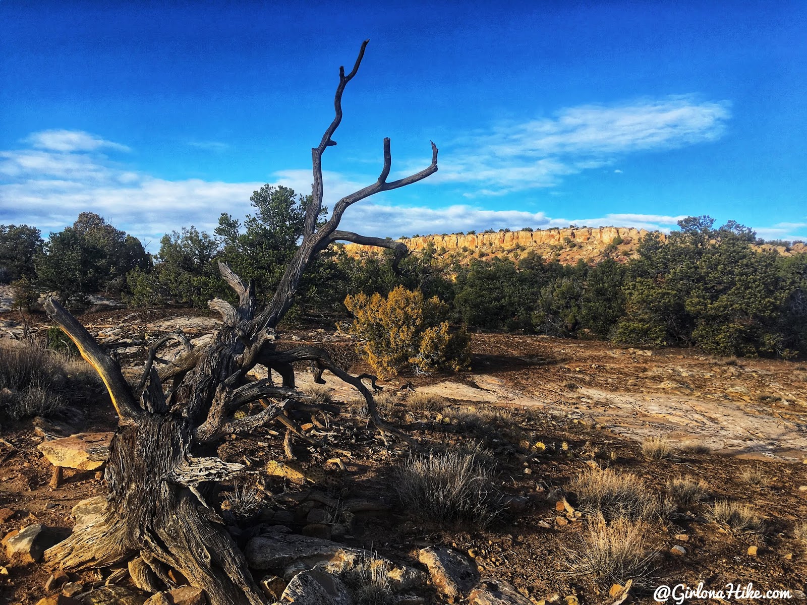 Hiking to the Butler Wash Ruins, Cedar Mesa