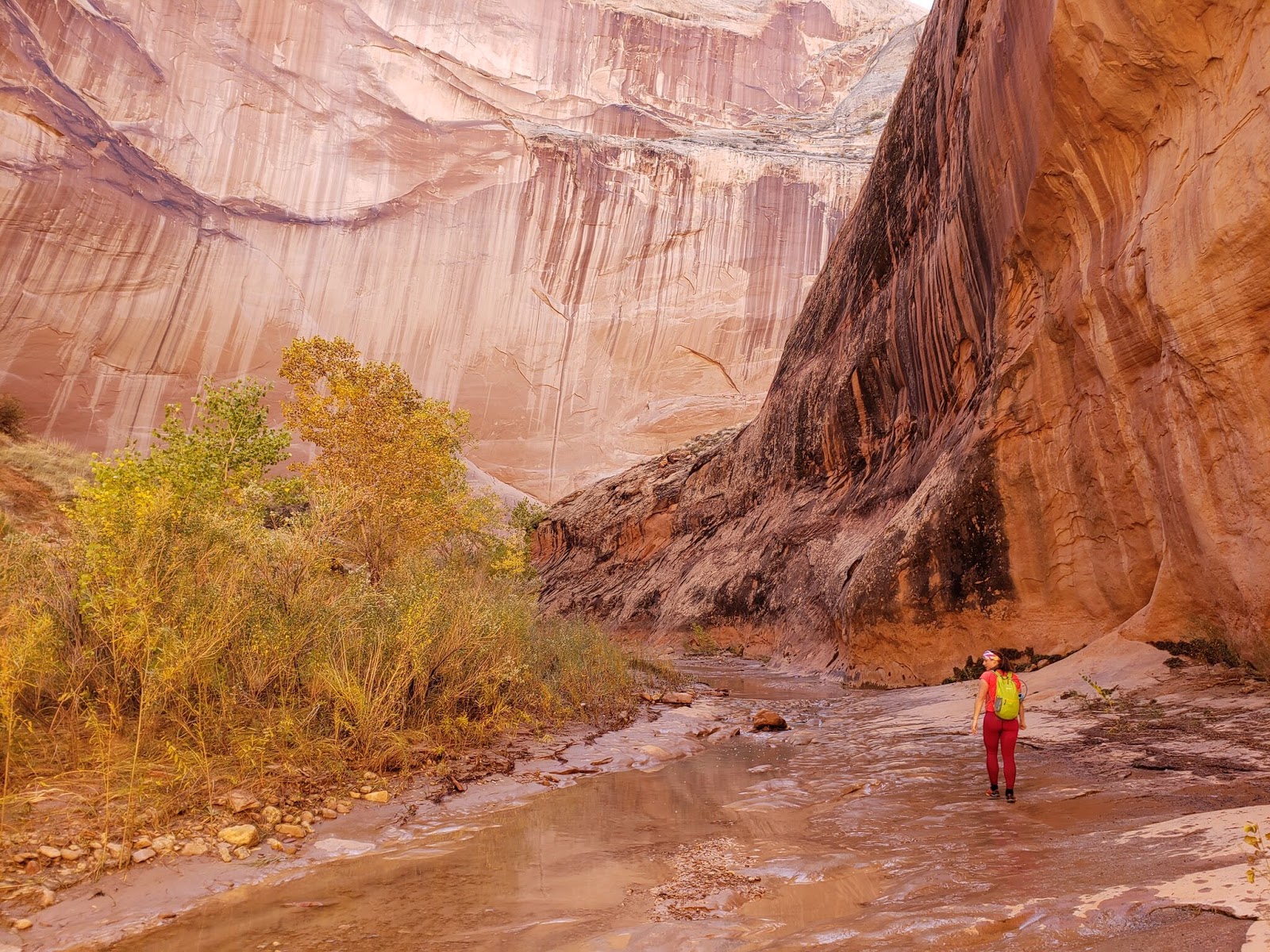 Backpacking Halls Creek Narrows, Capitol Reef National Park