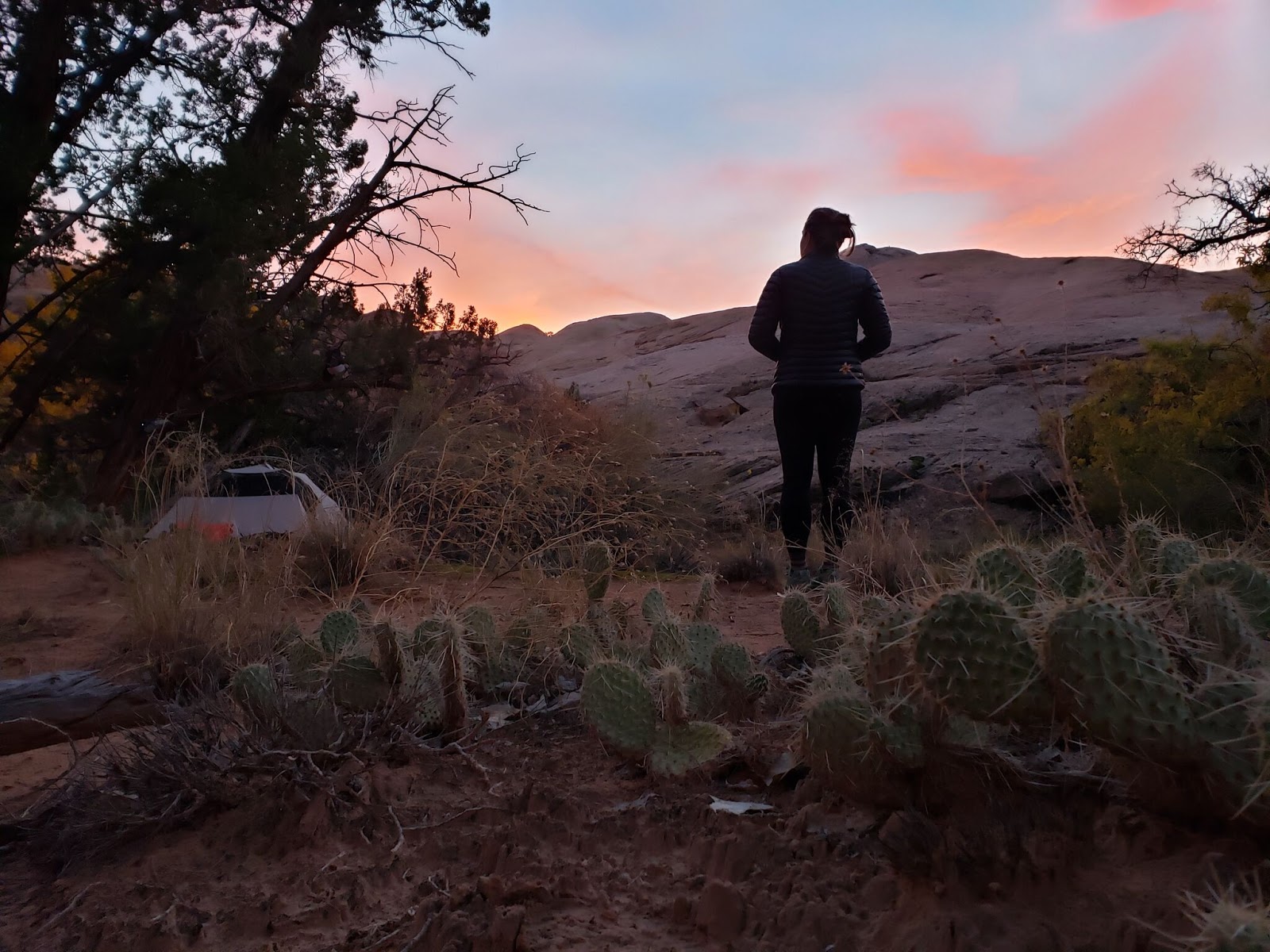 Backpacking Halls Creek Narrows, Capitol Reef National Park