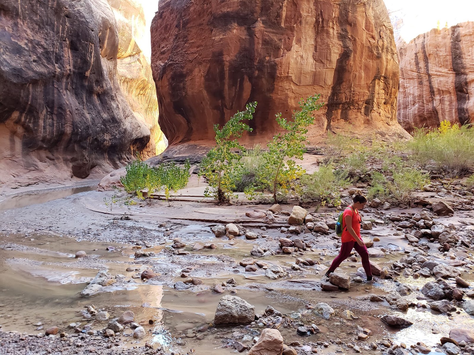 Backpacking Halls Creek Narrows, Capitol Reef National Park