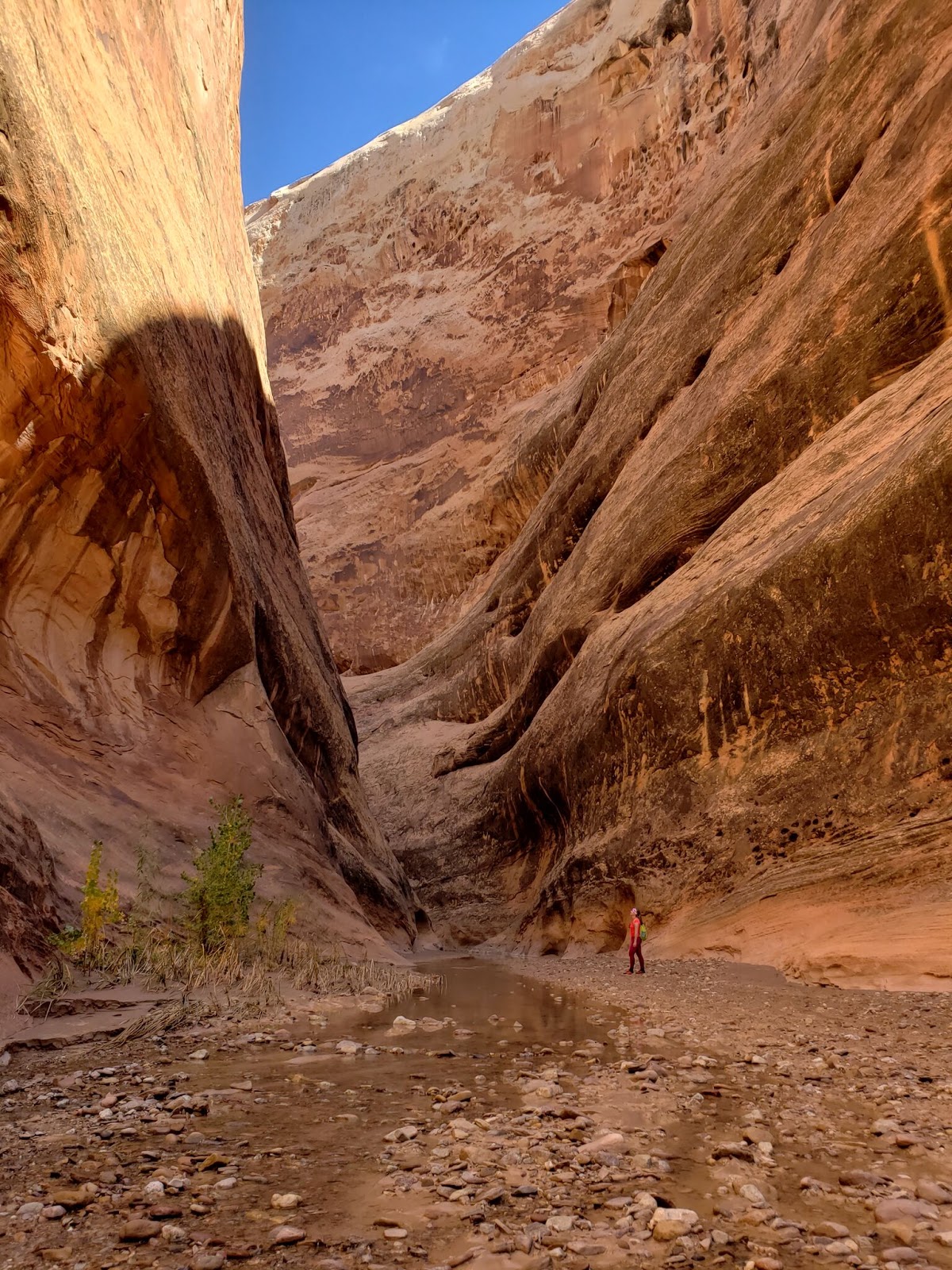 Backpacking Halls Creek Narrows, Capitol Reef National Park