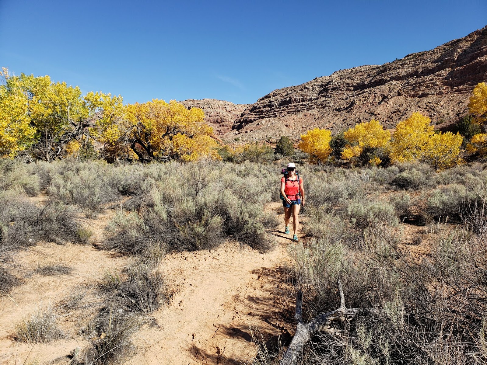 Backpacking Halls Creek Narrows, Capitol Reef National Park