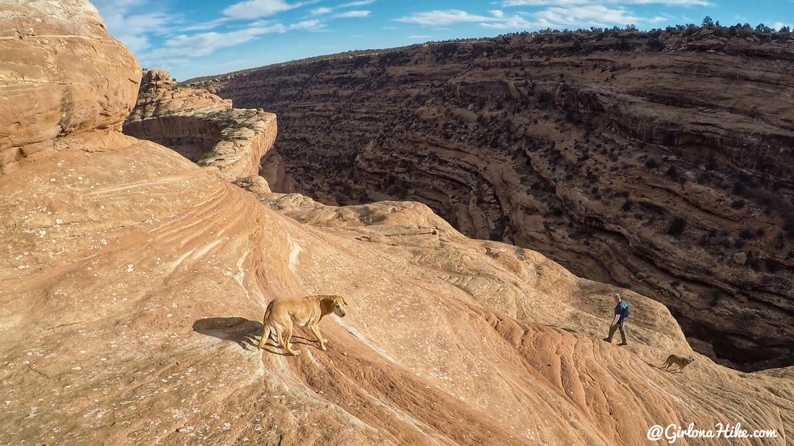 Hiking to The Citadel Ruins, Cedar Mesa, Ruins in Utah, Bears Ears National Monument