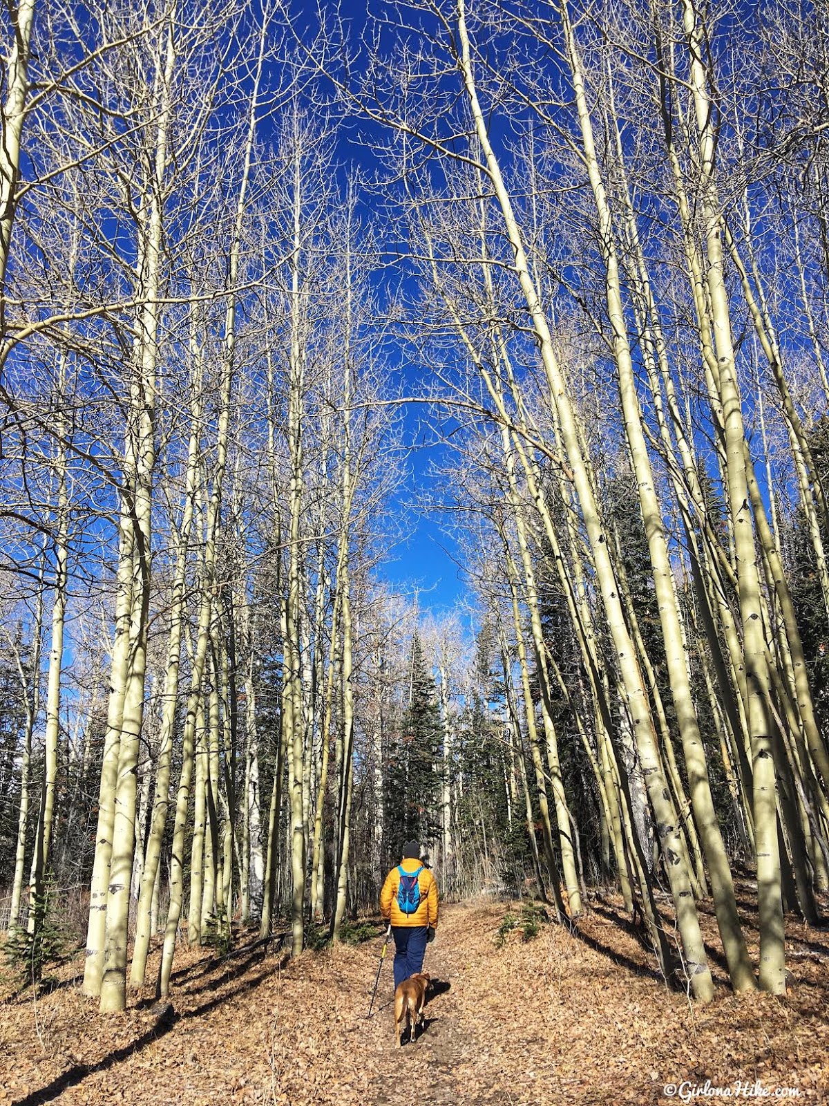 Hiking to Deer Creek Lakes, Boulder Mountain, Hiking on Boulder Mountain, Utah