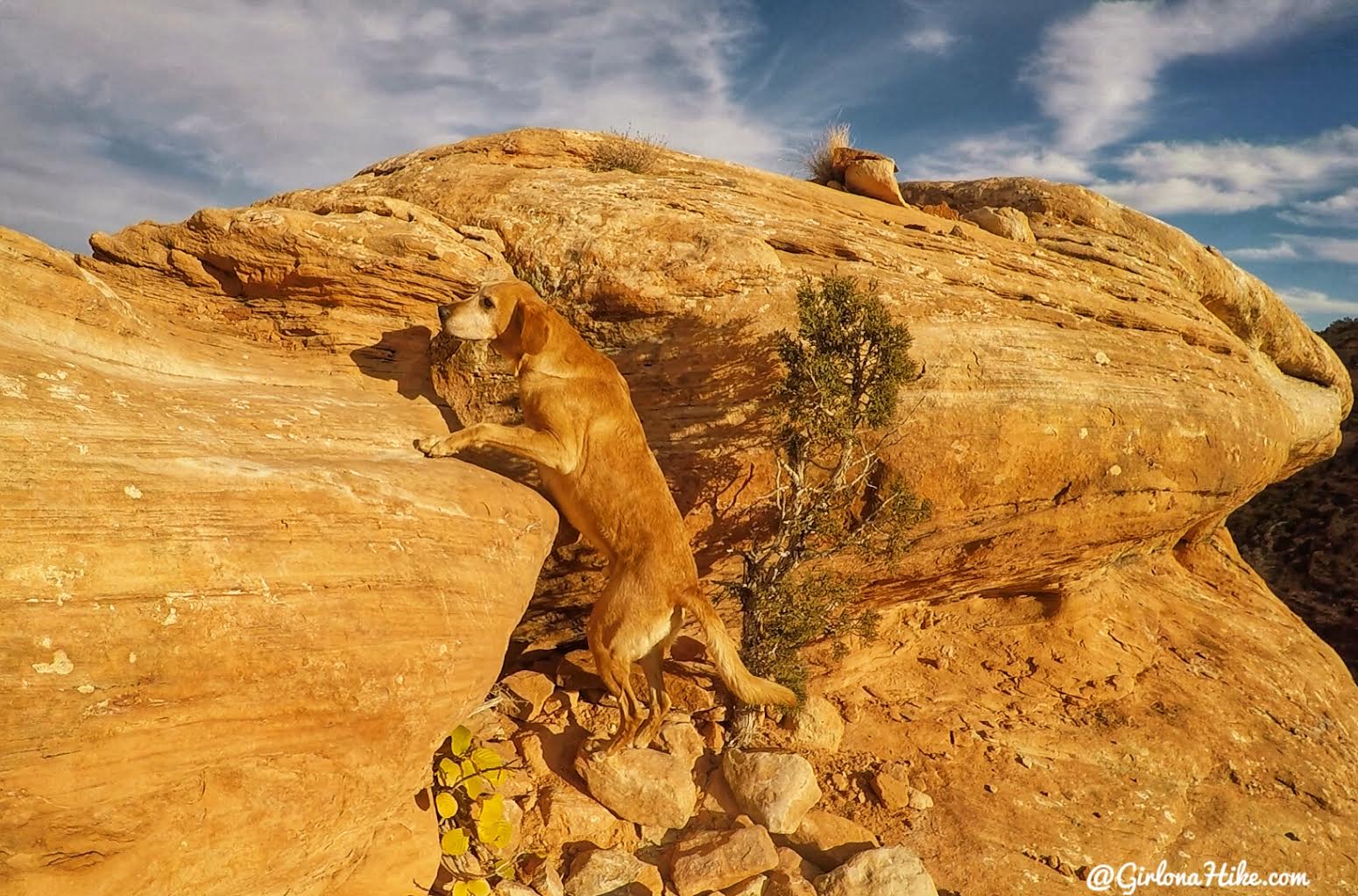 Hiking to The Citadel Ruins, Cedar Mesa, Ruins in Utah, Bears Ears National Monument