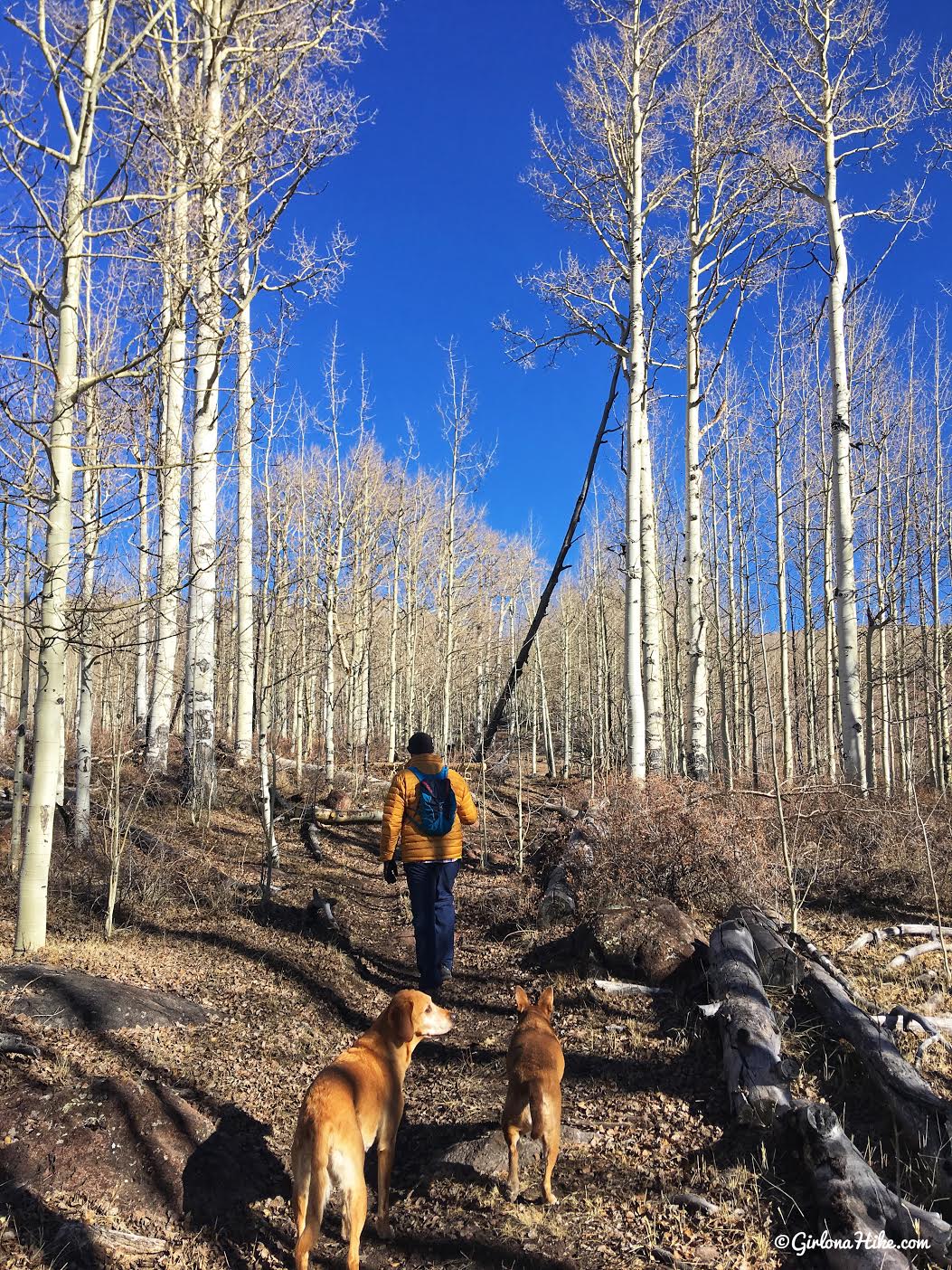 Hiking to Deer Creek Lakes, Boulder Mountain, Hiking on Boulder Mountain, Utah