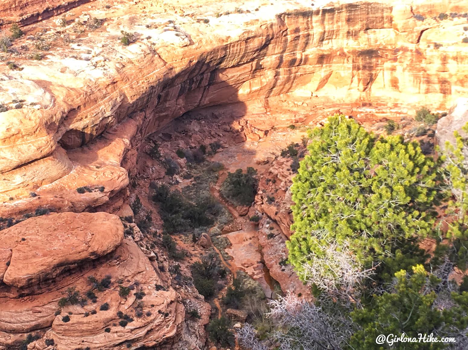 Hiking to The Citadel Ruins, Cedar Mesa, Ruins in Utah, Bears Ears National Monument