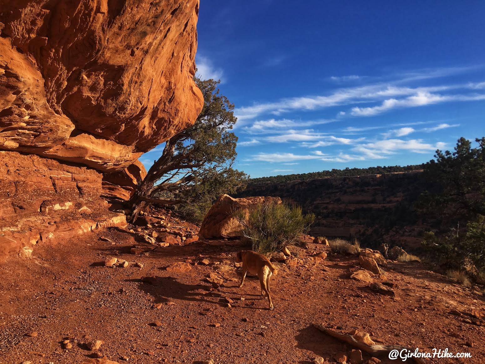 Hiking to The Citadel Ruins, Cedar Mesa, Ruins in Utah, Bears Ears National Monument