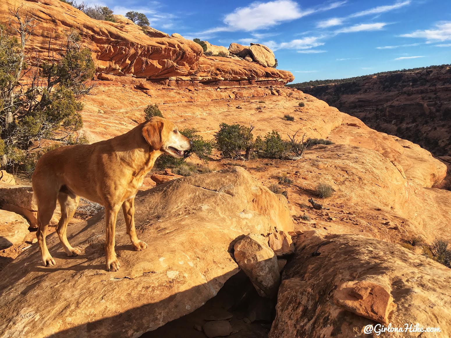 Hiking to The Citadel Ruins, Cedar Mesa, Ruins in Utah, Bears Ears National Monument