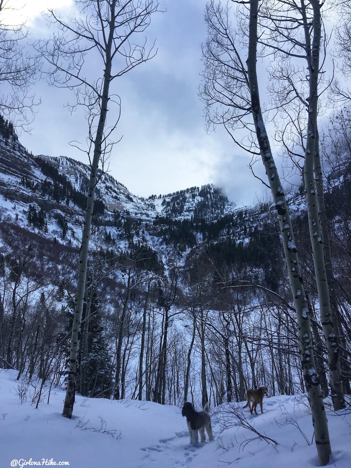 Hiking to Scout Falls - in Winter!, Riding a Fat Tire Bike for the first time