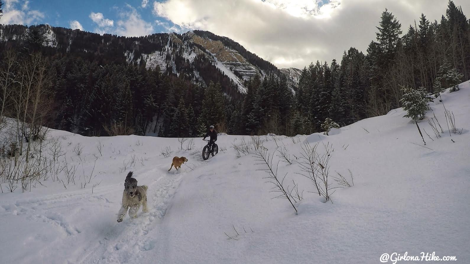 Hiking to Scout Falls - in Winter!, Riding a Fat Tire Bike for the first time