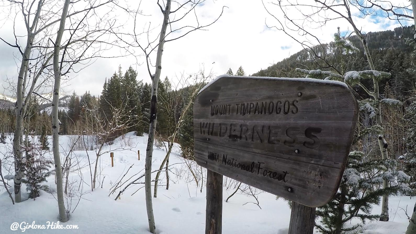 Hiking to Scout Falls - in Winter!, Riding a Fat Tire Bike for the first time