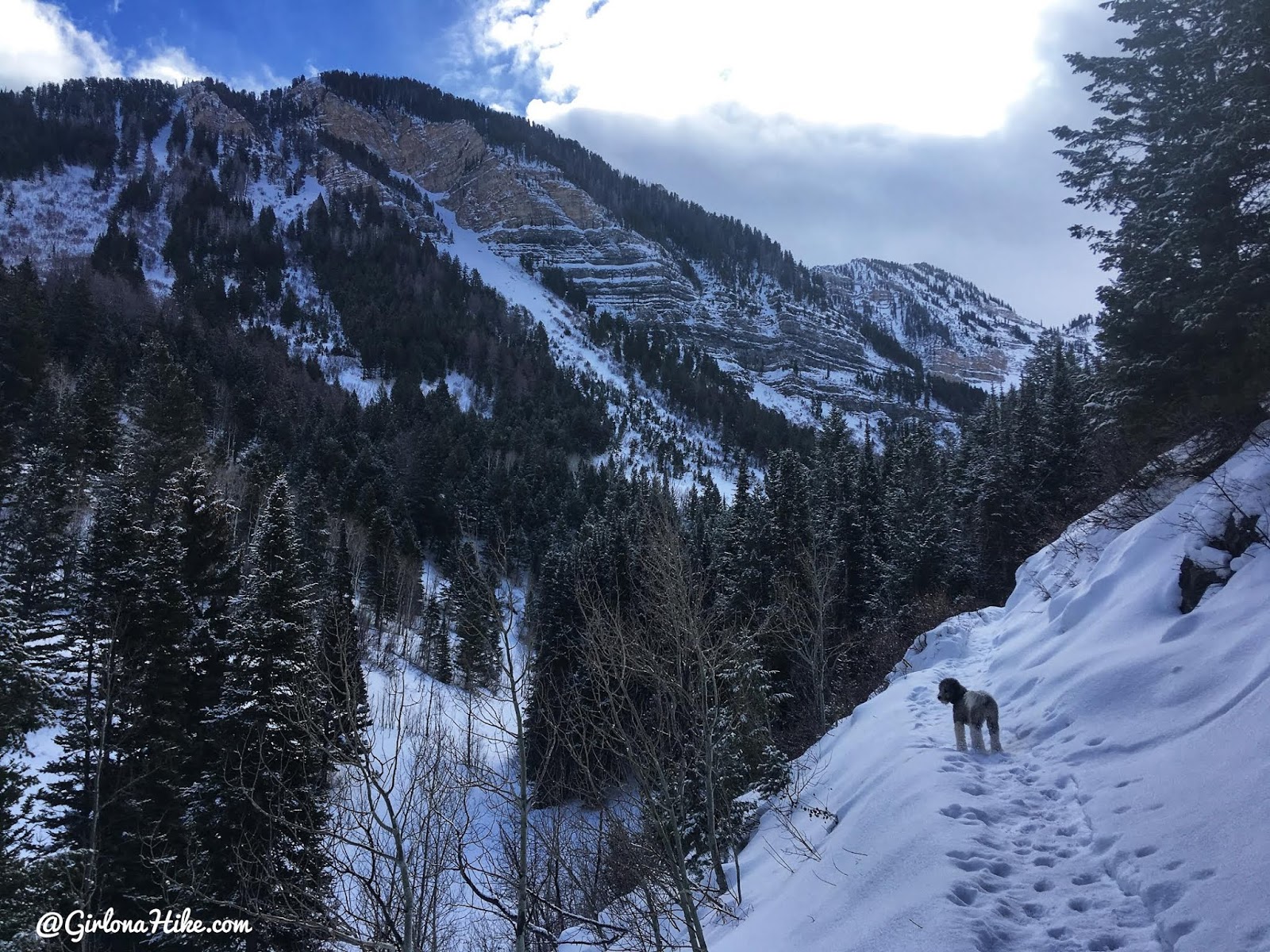 Hiking to Scout Falls - in Winter!, Riding a Fat Tire Bike for the first time