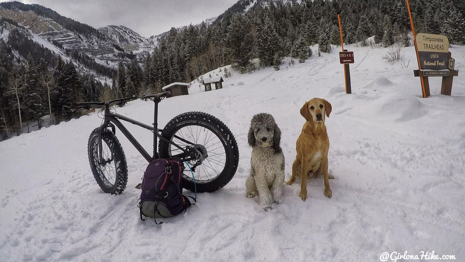 Hiking to Scout Falls - in Winter!, Riding a Fat Tire Bike for the first time