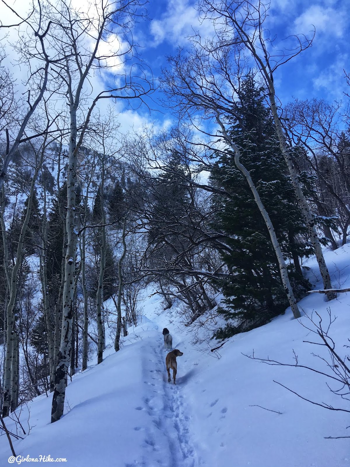 Hiking to Scout Falls - in Winter!, Riding a Fat Tire Bike for the first time