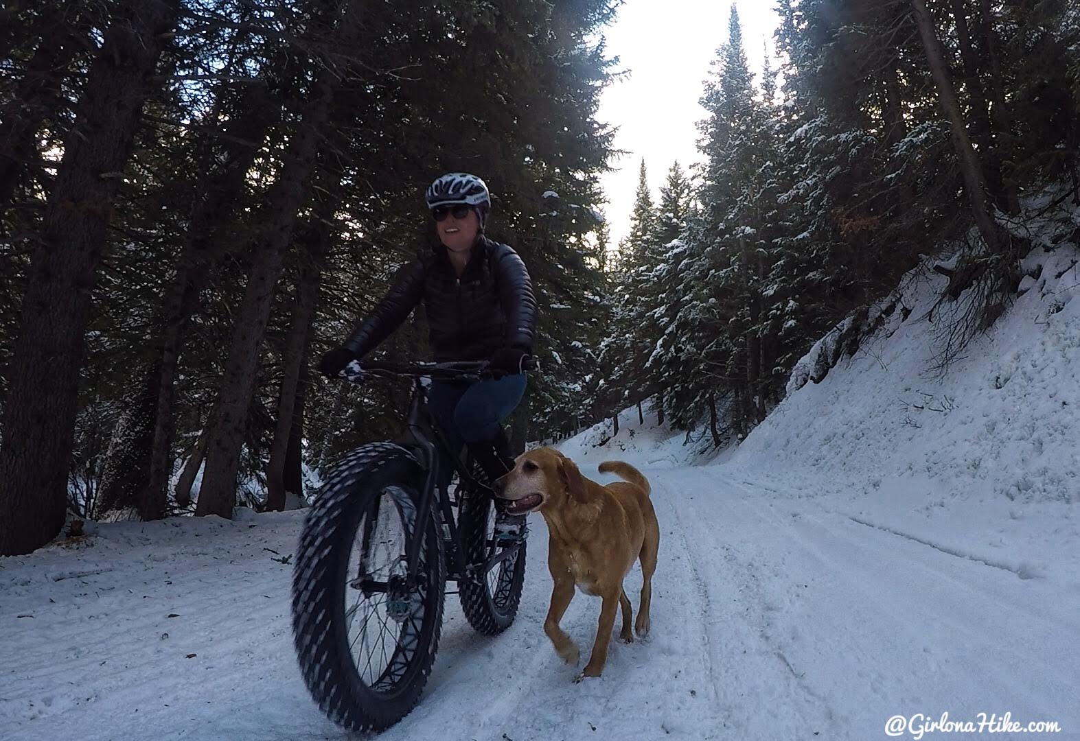 Hiking to Scout Falls - in Winter!, Riding a Fat Tire Bike for the first time