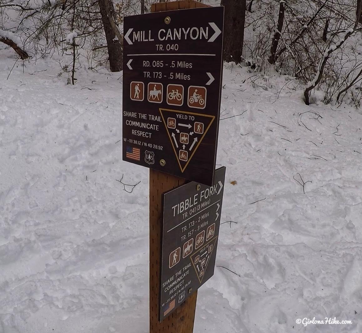 Hiking the Tibble Fork Loop Trail, American Fork Canyon