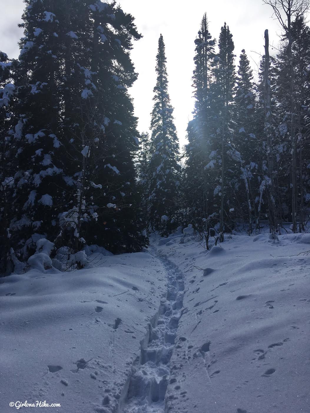 Hiking the Tibble Fork Loop Trail, American Fork Canyon