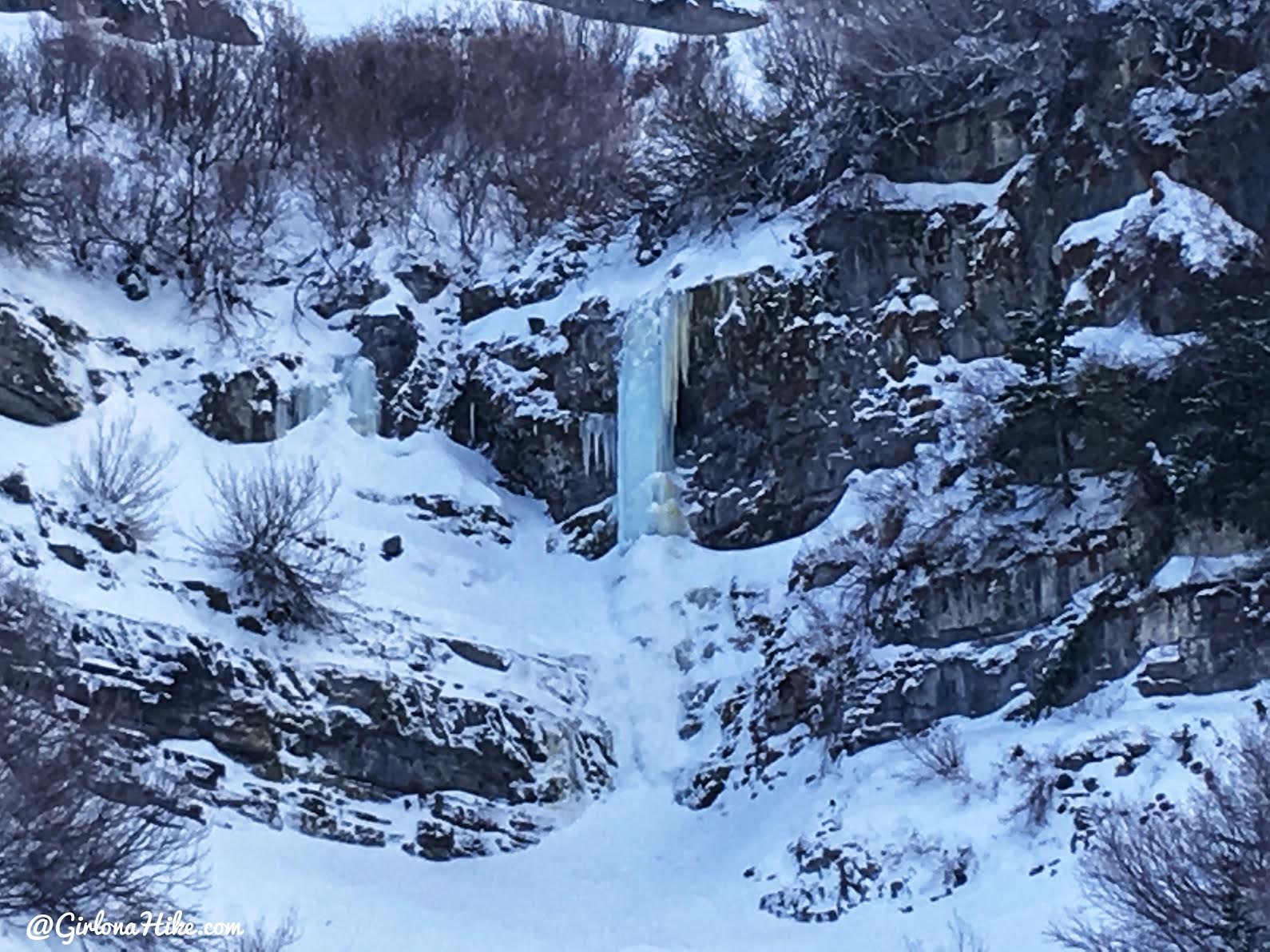 Hiking to Scout Falls - in Winter!, Riding a Fat Tire Bike for the first time