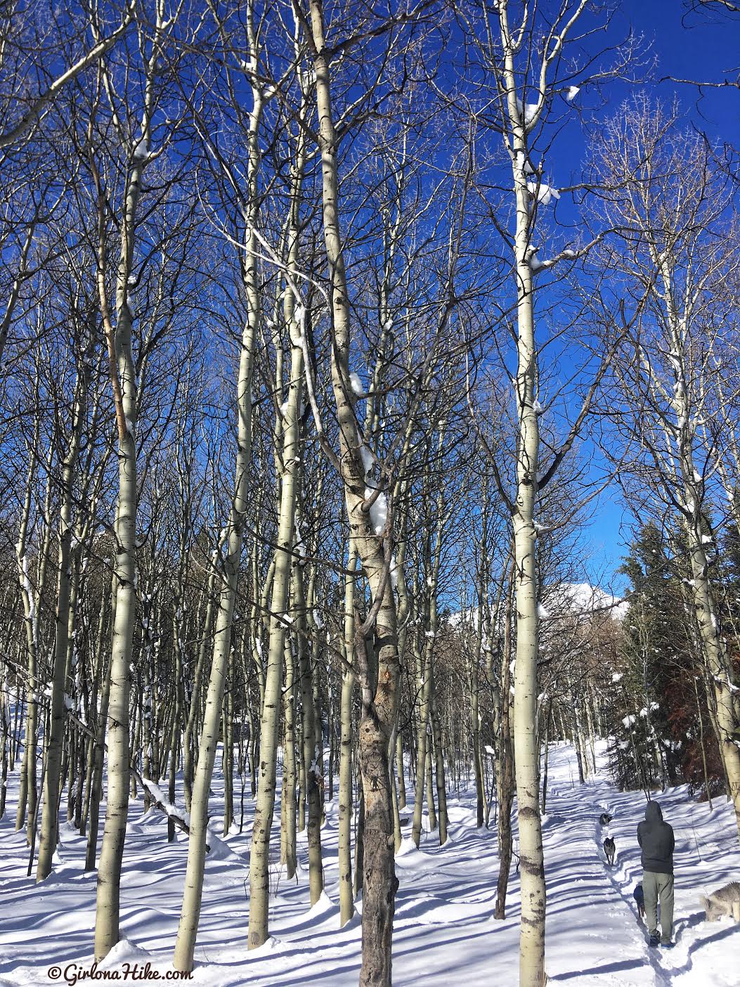 Hiking the Tibble Fork Loop Trail, American Fork Canyon