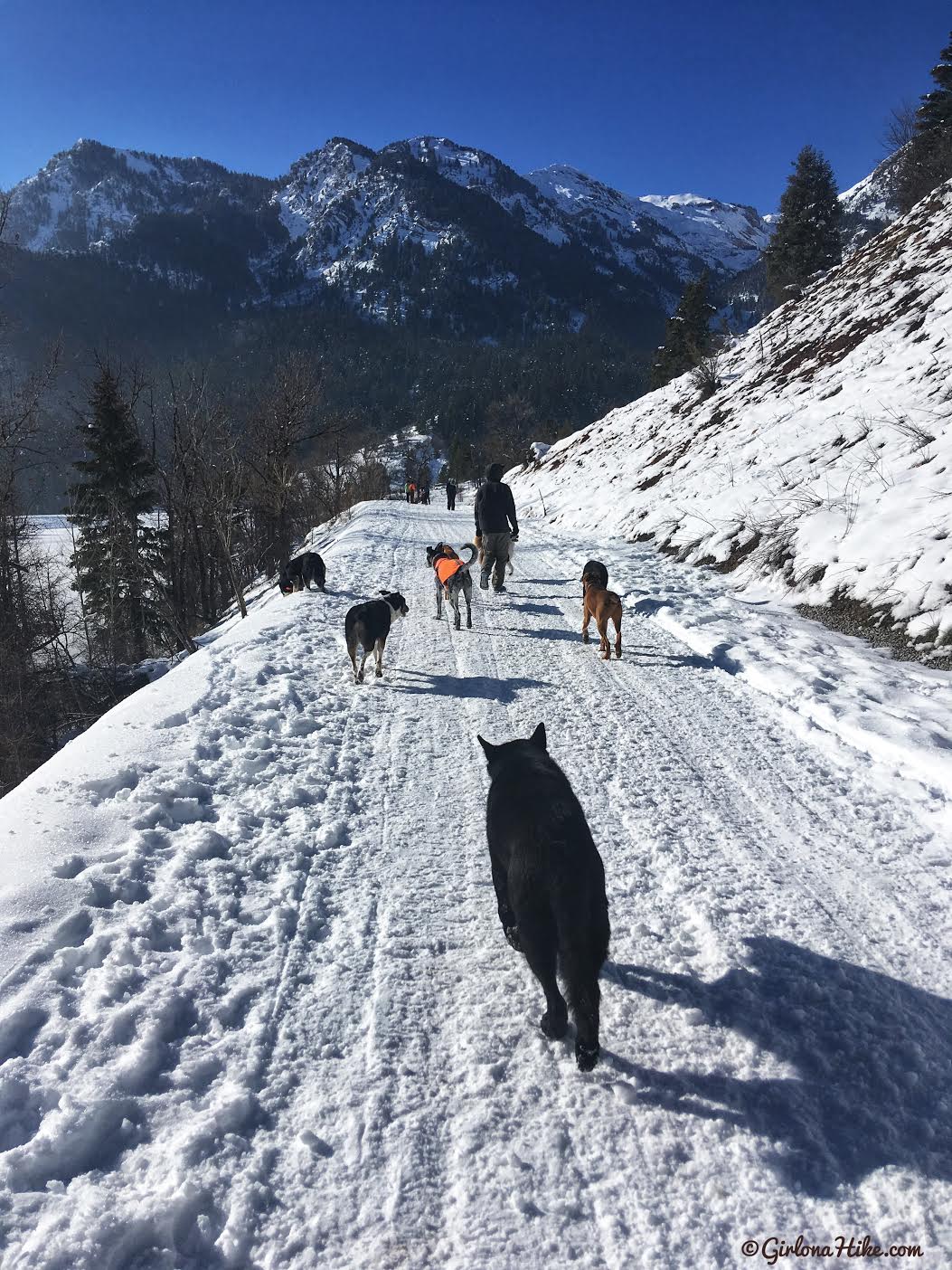 Hiking the Tibble Fork Loop Trail, American Fork Canyon