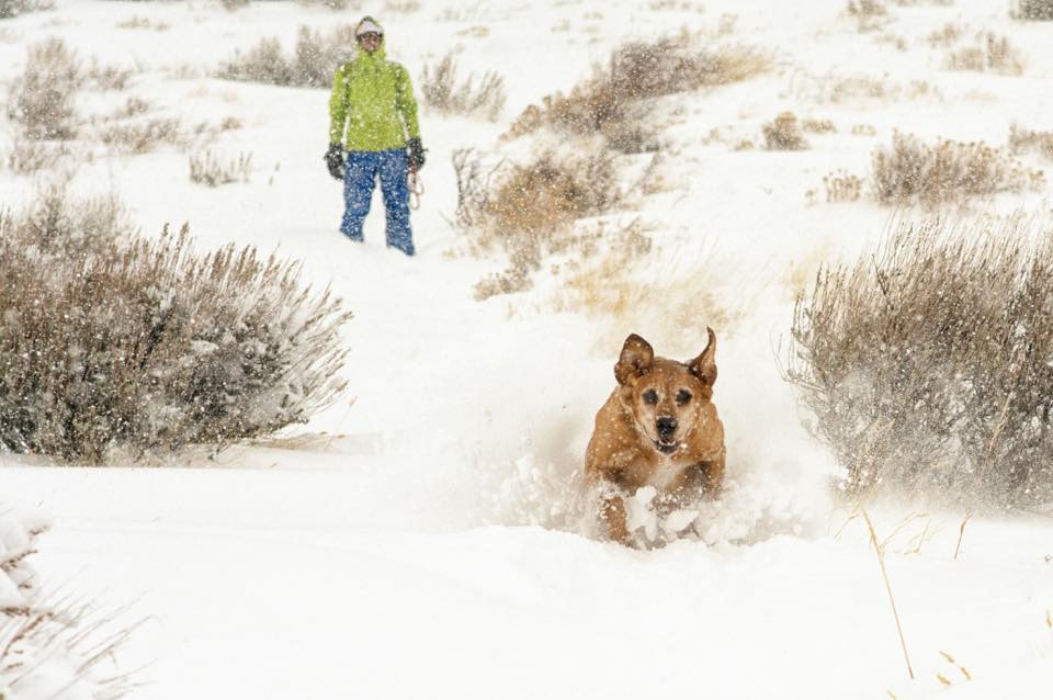 7 Reasons Why Winter is the Best Season to Go Hiking in Utah!