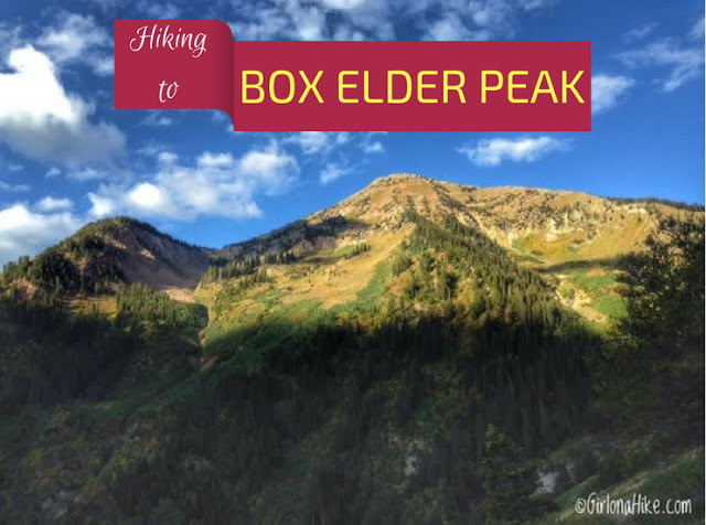 Hiking to Box Elder Peak, American Fork Canyon