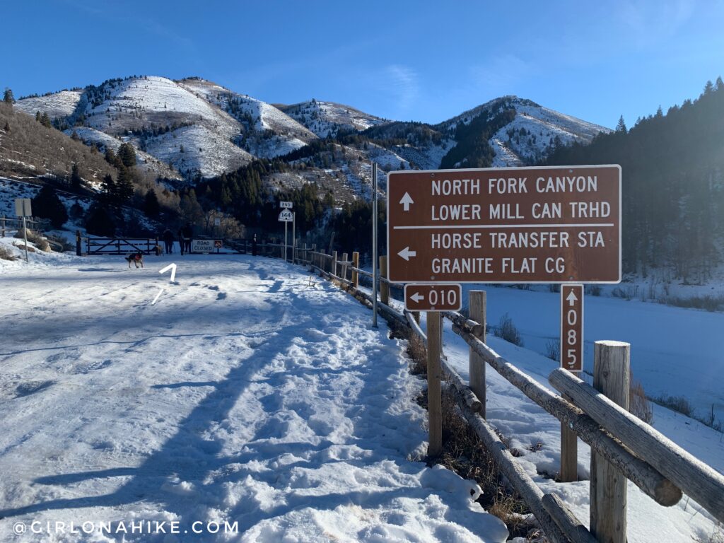 Hiking the Tibble Fork Loop Trail