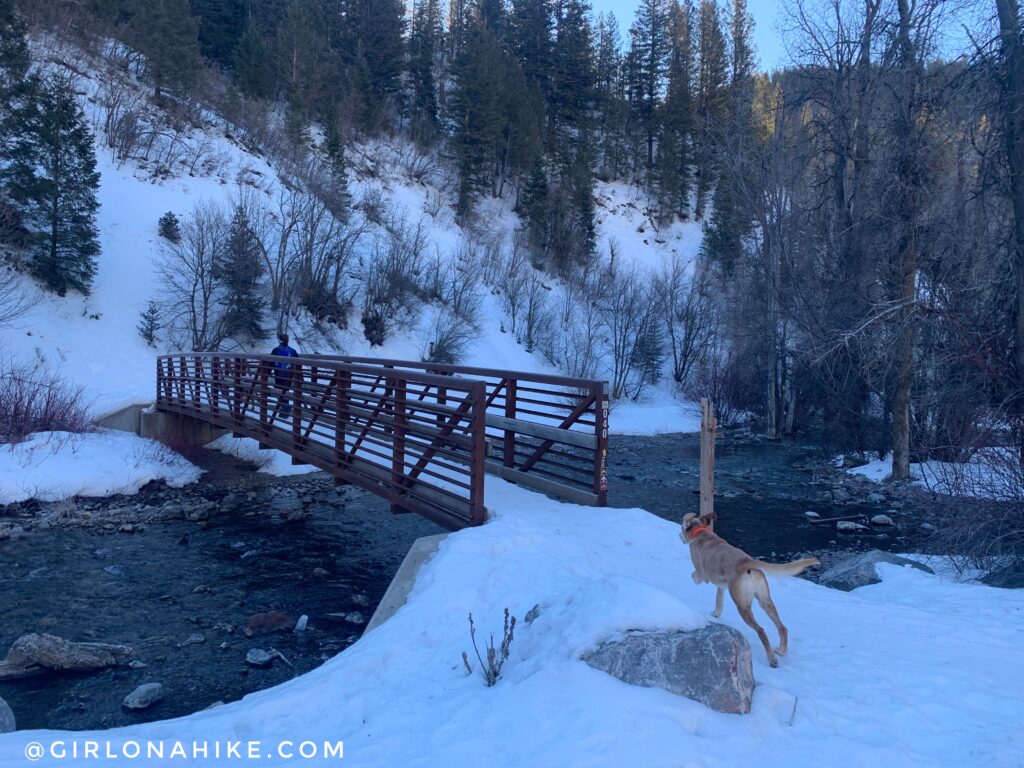 Hiking the Tibble Fork Loop Trail