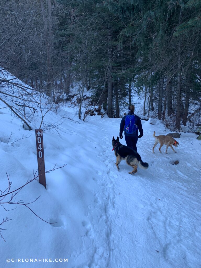 Hiking the Tibble Fork Loop Trail