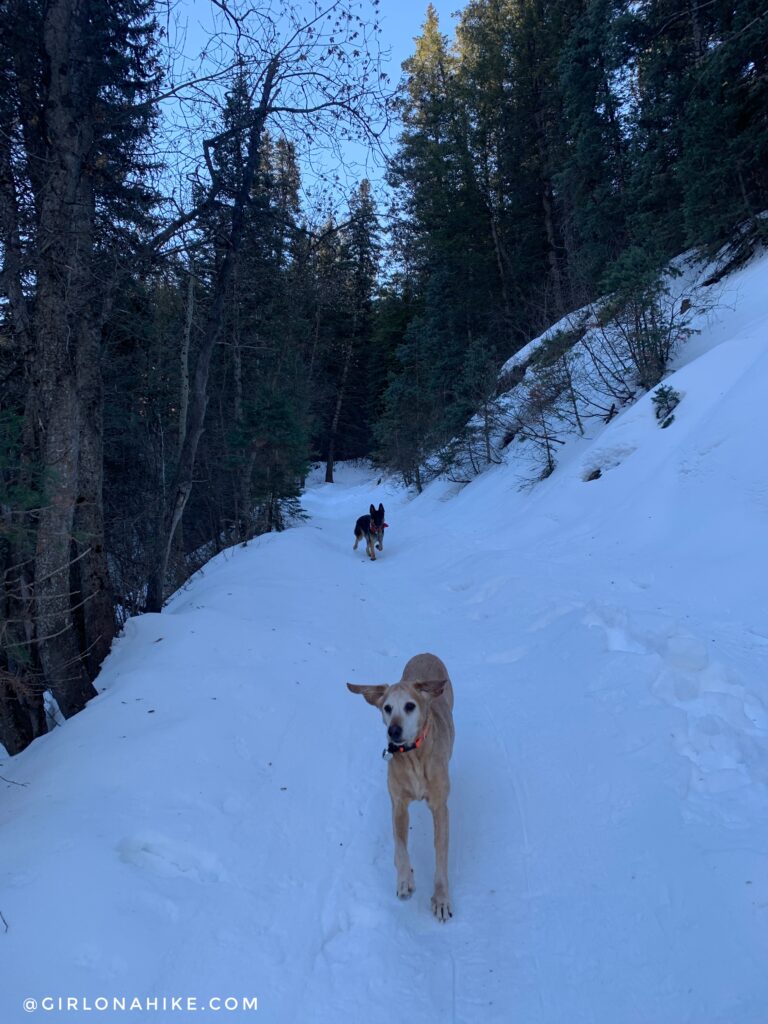 Hiking the Tibble Fork Loop Trail