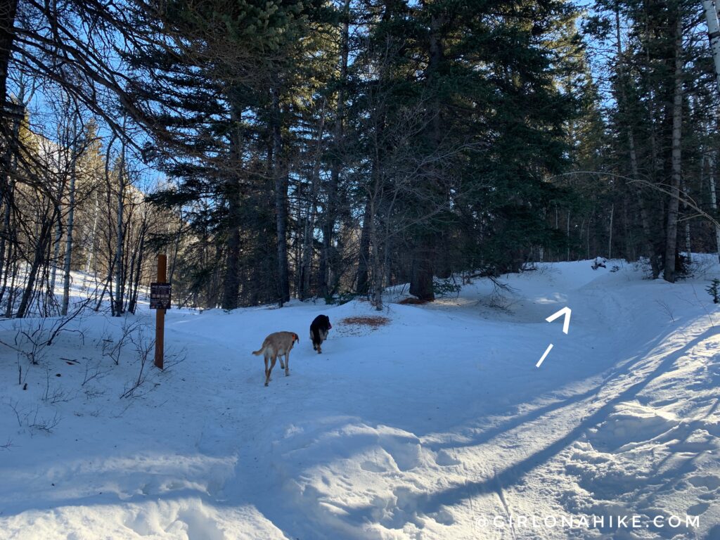 Hiking the Tibble Fork Loop Trail