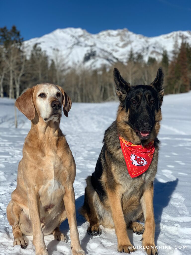 hiking the tibble fork trail