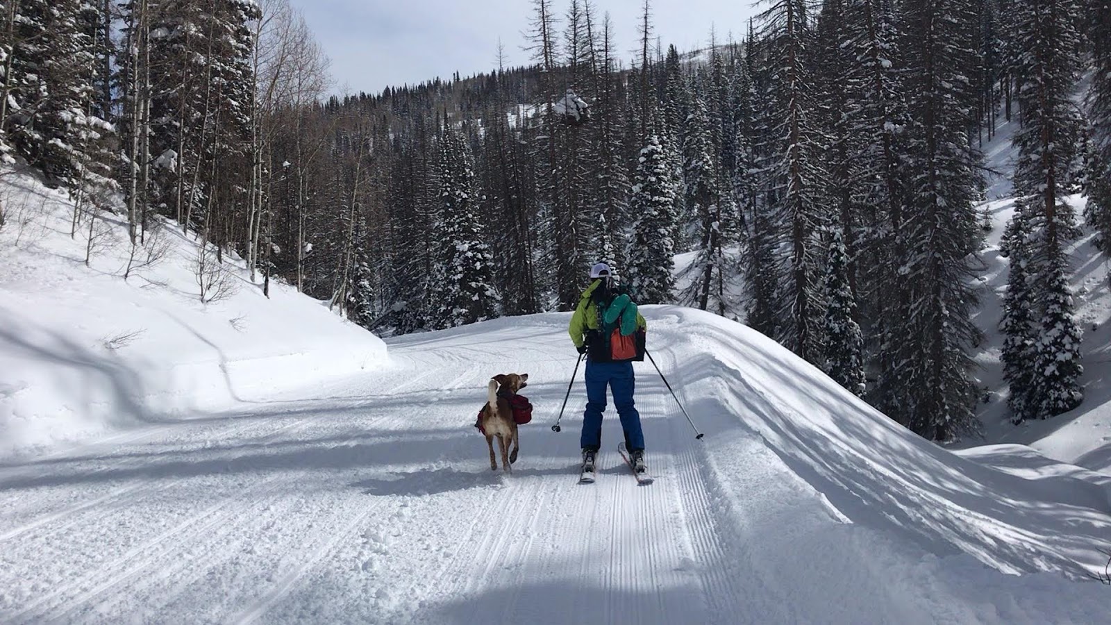 Mill Hollow Yurt Trip, Hiking to the Mill Hollow Backcountry Yurt, Yurts of Utah, Yurts in the Uintas, Dog Friendly Yurts, Mill Hollow