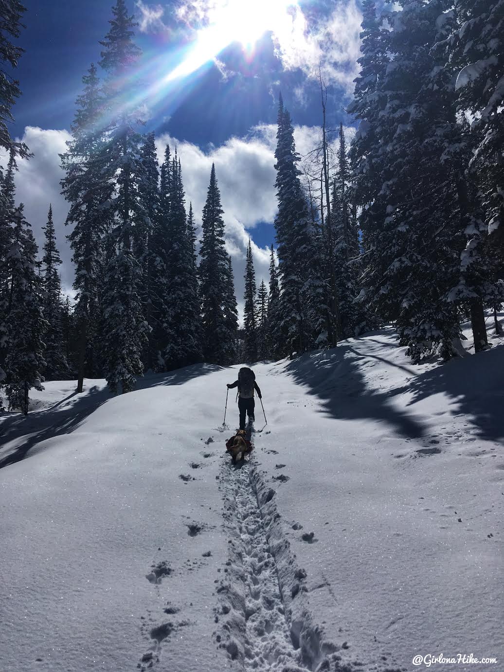 Mill Hollow Yurt Trip, Hiking to the Mill Hollow Backcountry Yurt, Yurts of Utah, Yurts in the Uintas, Dog Friendly Yurts, Mill Hollow