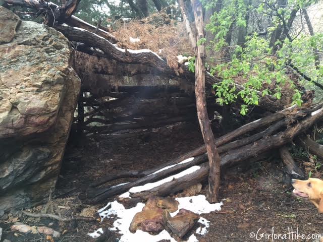 Heugh's Canyon Waterfall, Utah, Hiking in Utah with Dogs