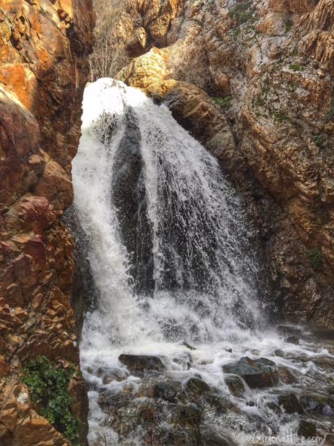 Heugh's Canyon Waterfall, Utah, Hiking in Utah with Dogs