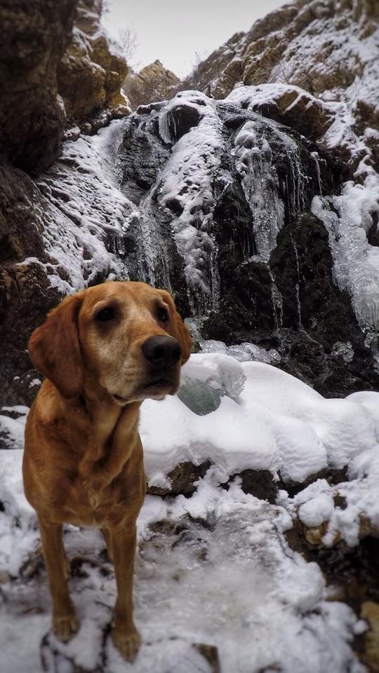 Hiking to Heugh's Canyon Waterfall, Salt Lake City, Utah