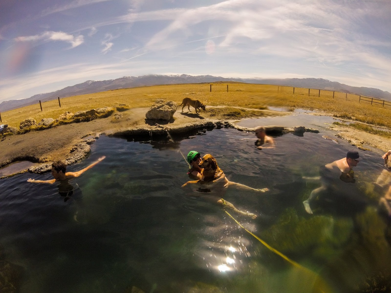 Meadow Hot Springs, Utah, Hot Springs in Utah, Dog friendly Hot Springs