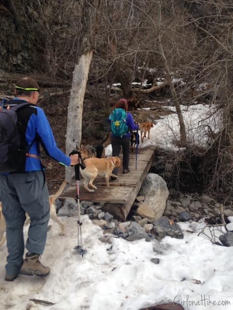 Hiking Squaw Peak, Provo, Rock Canyon Utah, Hiking in Utah with dogs