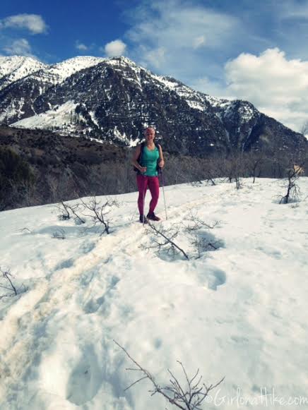 Hiking Squaw Peak, Provo, Rock Canyon Utah, Hiking in Utah with dogs