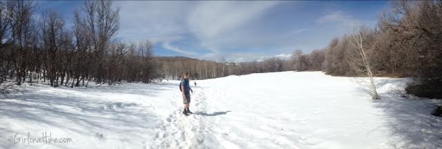 Hiking Squaw Peak, Provo, Rock Canyon Utah, Hiking in Utah with dogs