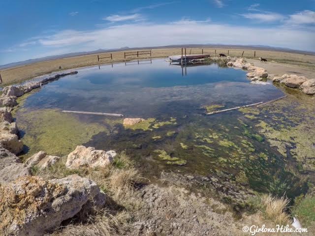 Meadow Hot Springs, Utah, Hot Springs in Utah, Dog friendly Hot Springs