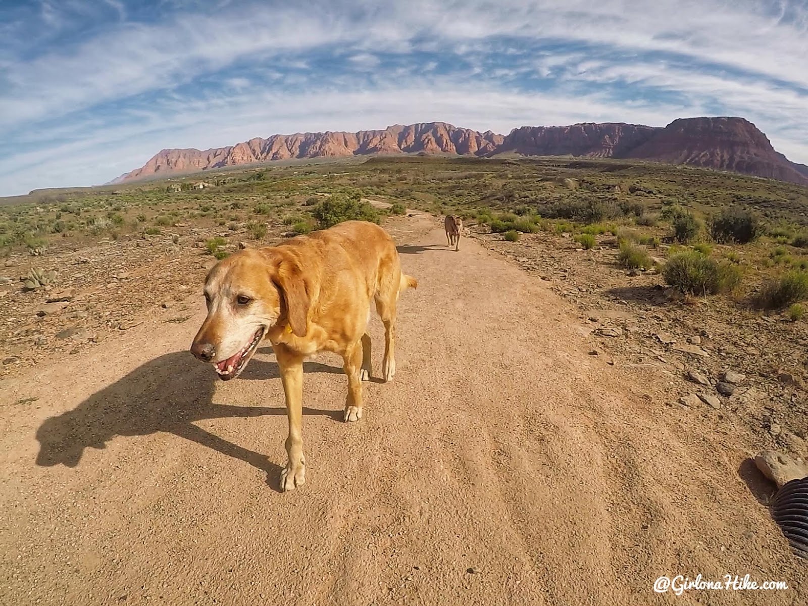 Hiking the Anazasi Trail (Tempi'po'op), St.George