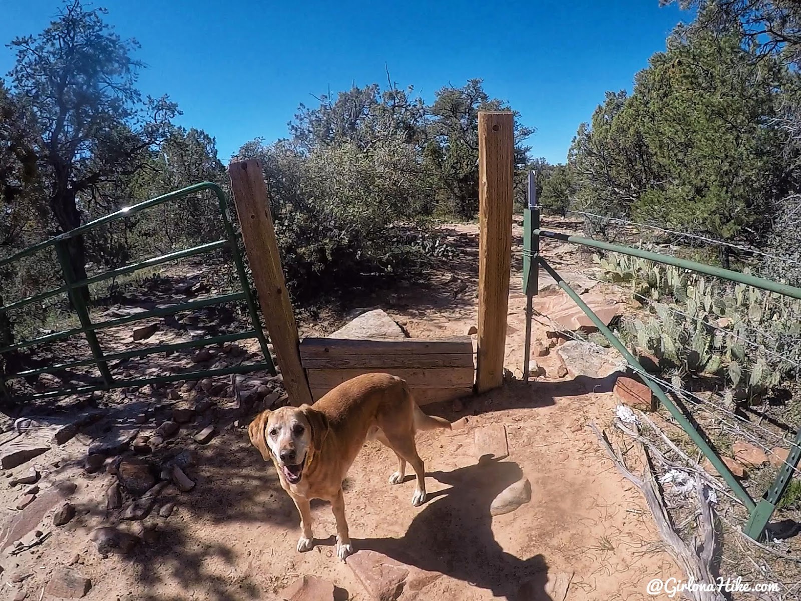 Hiking the Red Mountain Trail, St.George