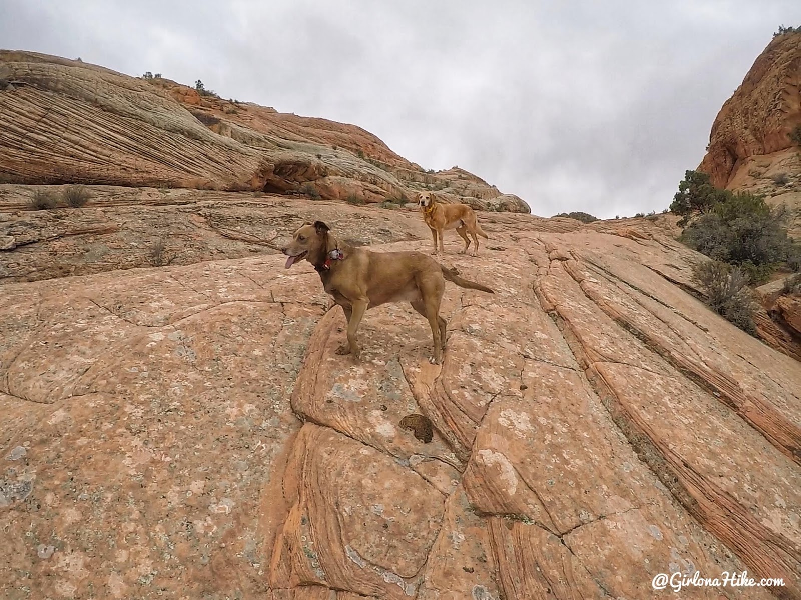 Hiking the Lower Sand Cove Trail (aka The Vortex)