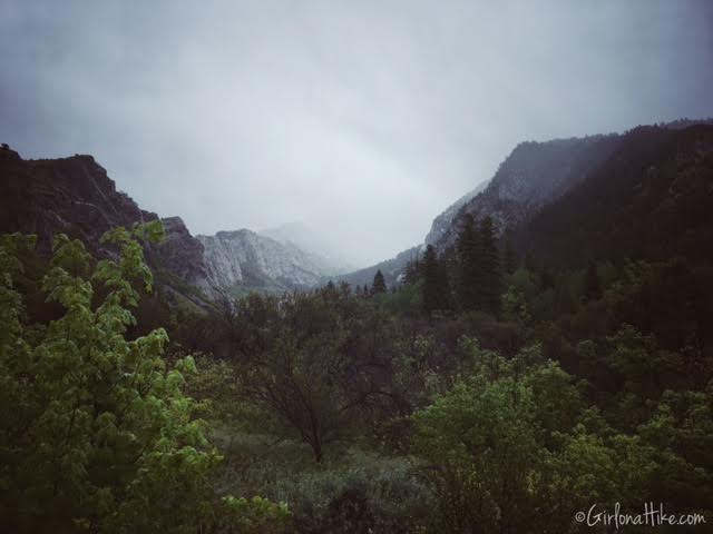 Bells Canyon Waterfall trail guide