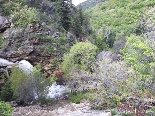 Farmington Canyon Trail, Farmington Canyon Waterfalls, Hiking in Utah with Dogs